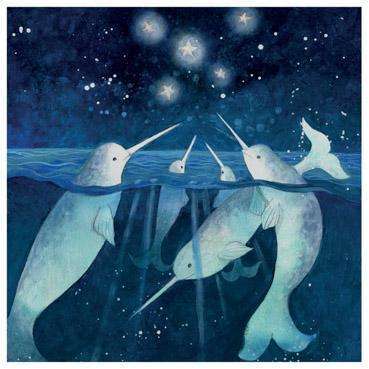 Amanda Clark Collection - The Narwhals