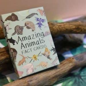 Amazing Animal Fact Cards - Set 1