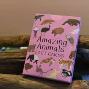Amazing Animal Fact Cards - Set 2