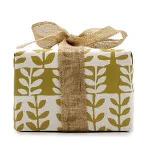 Agnes + Cat - Gift Box - Fresh Citrus (Candle) + Clementine & Moroccan Roll (Fizz)